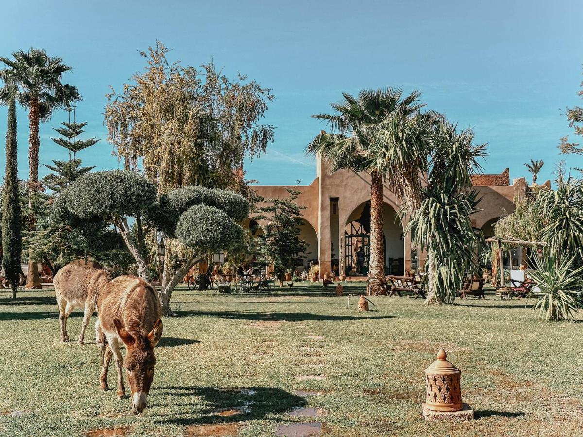 Le Bled De Gre Otel El Makina Dış mekan fotoğraf