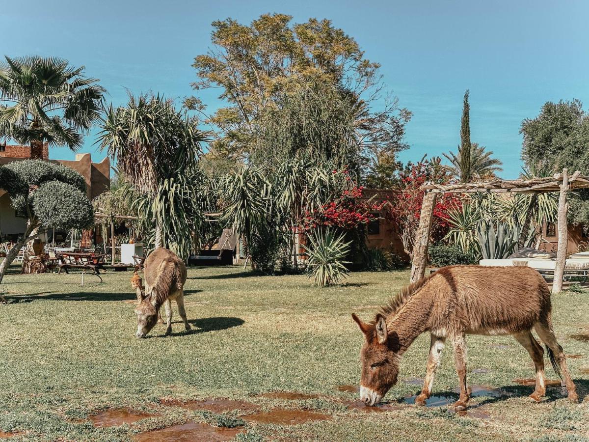 Le Bled De Gre Otel El Makina Dış mekan fotoğraf