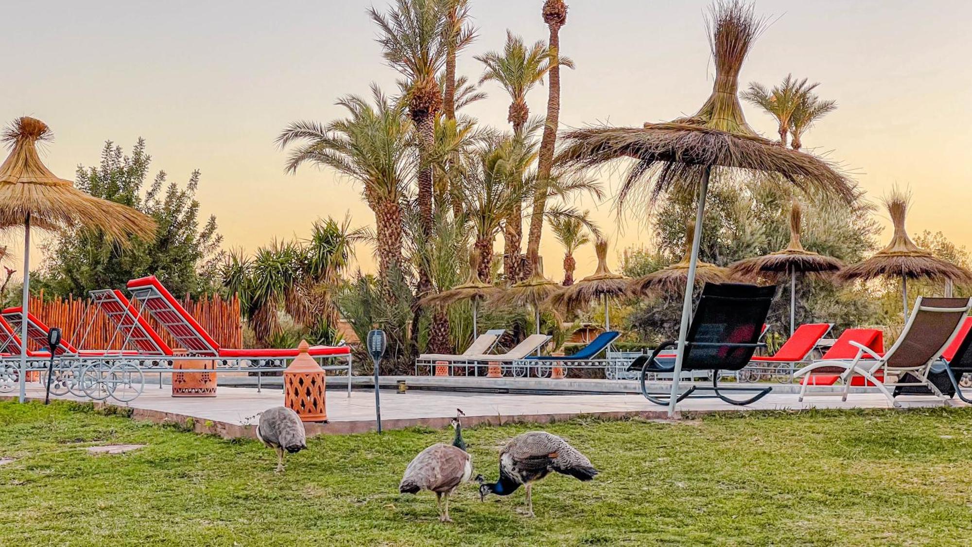 Le Bled De Gre Otel El Makina Dış mekan fotoğraf